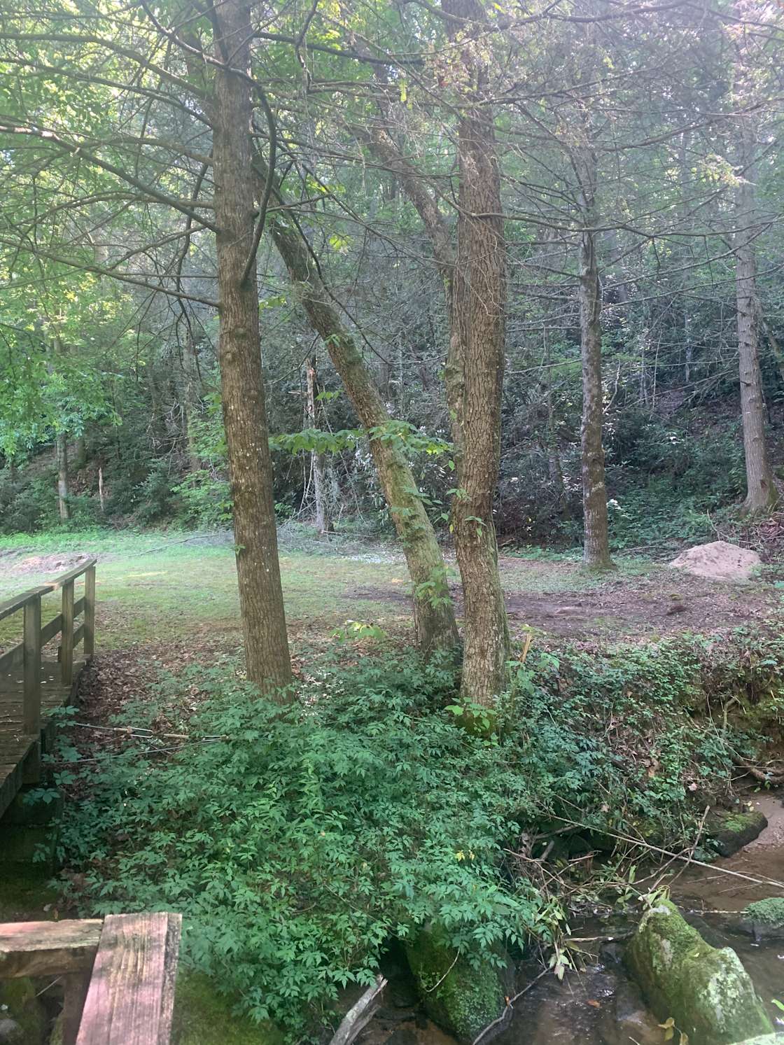 Zackary B.’s Land Hipcamp in Zirconia, North Carolina