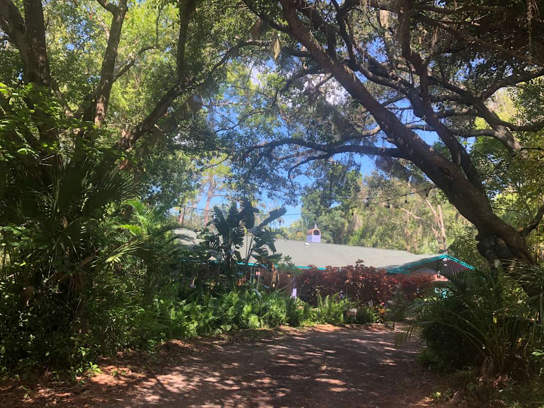 Blissful Camping Hipcamp in Dunedin, Florida