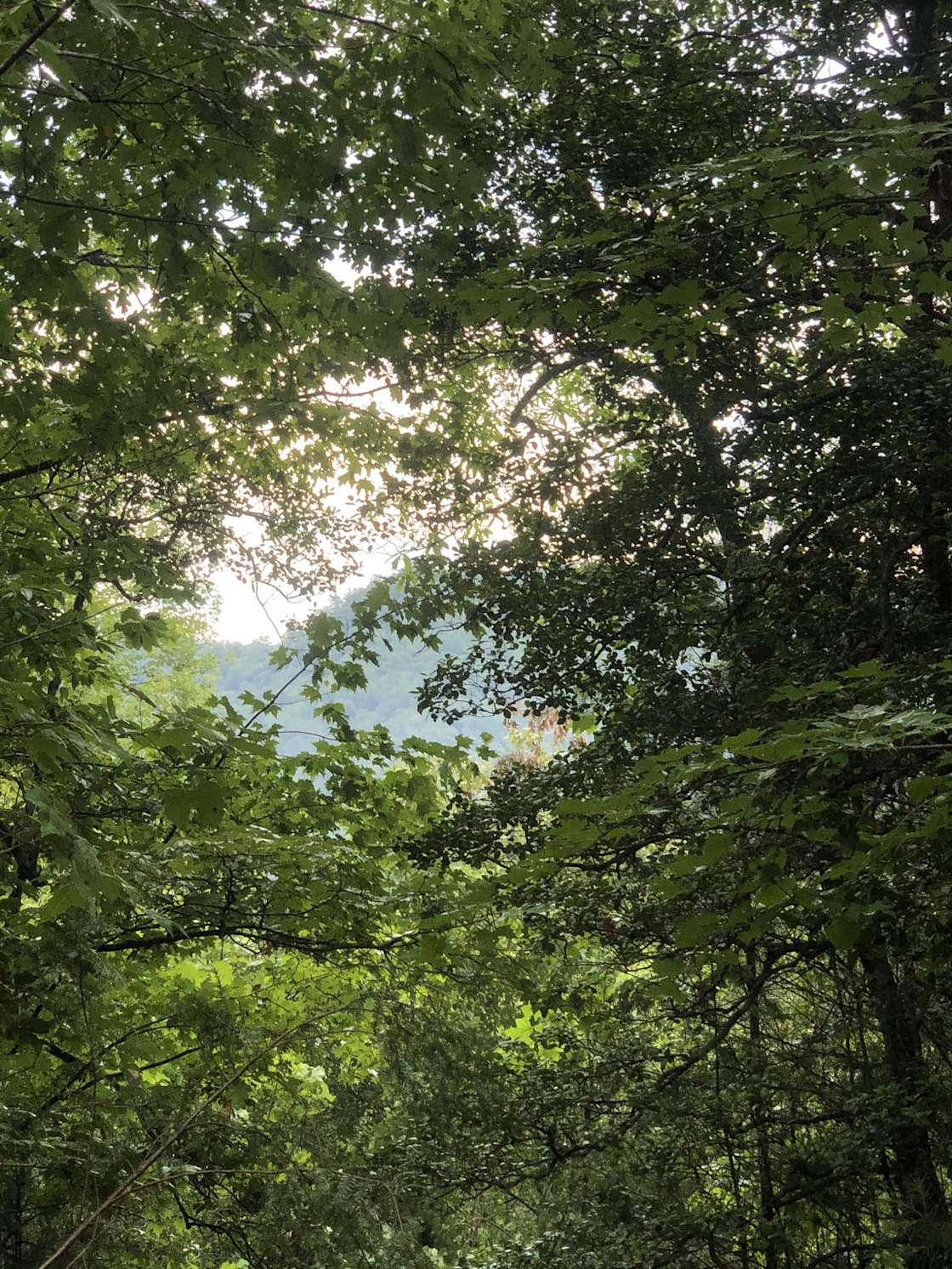 Cross Creek Mountain Top Retreat Hipcamp in Millers Creek, North Carolina