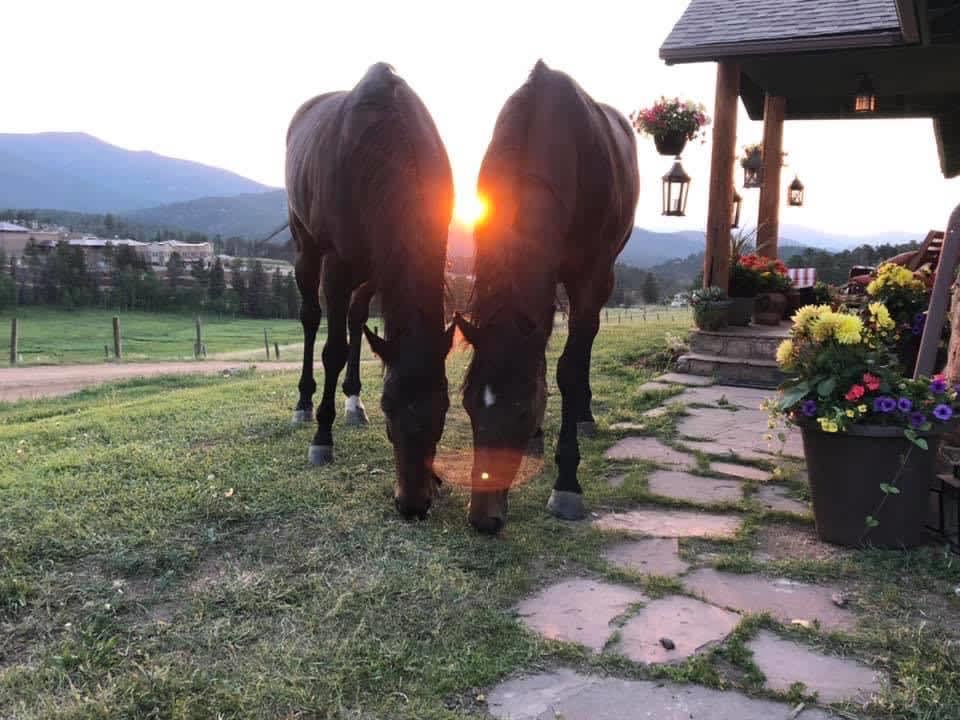 Amy M.’s Land - Hipcamp in Conifer, Colorado