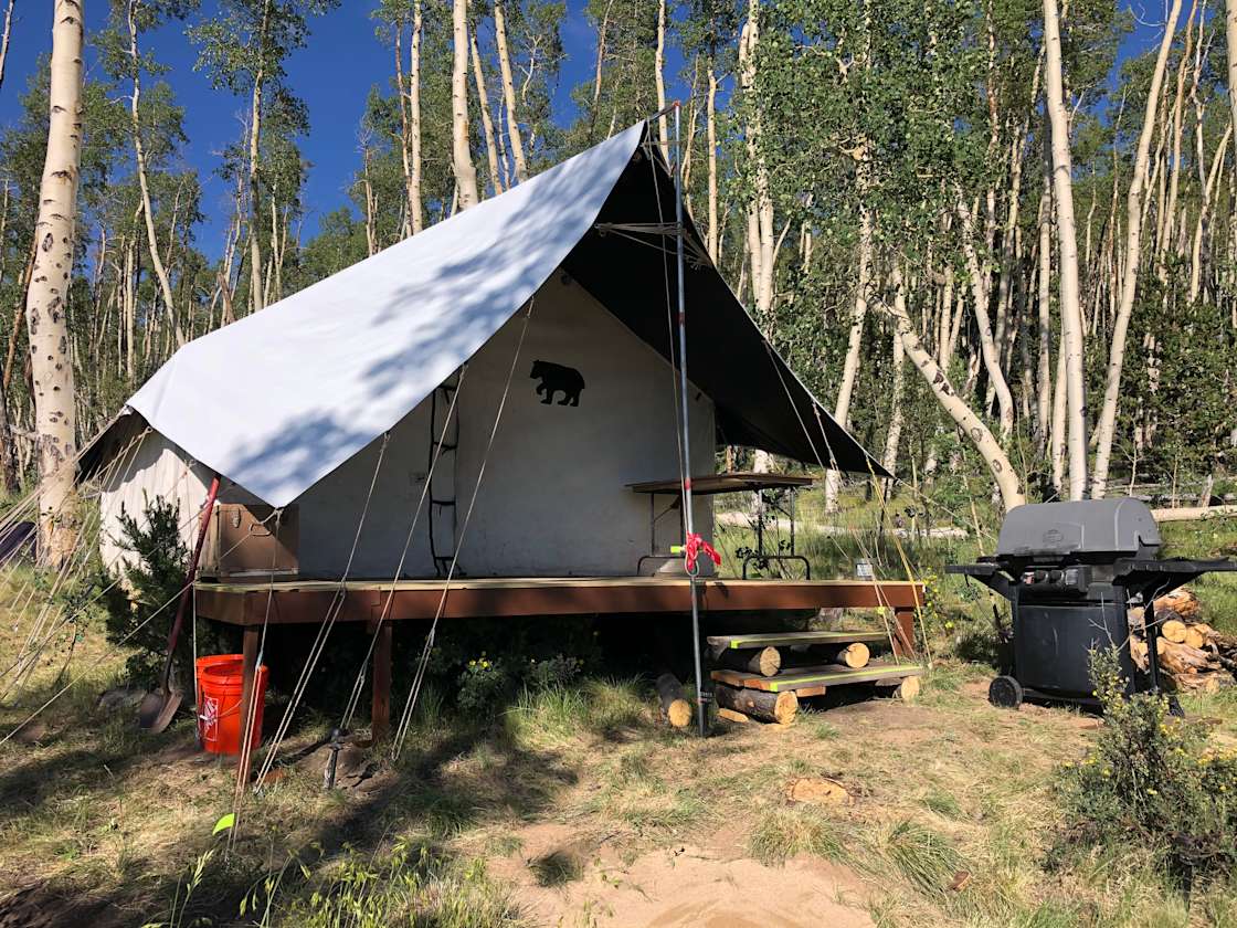 Bearly Rustic Camping Hipcamp in Fairplay, Colorado