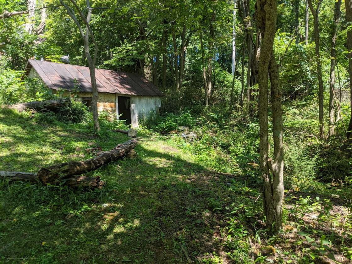 Sweet Spot by Yellow Springs Hipcamp in Yellow Springs, Ohio