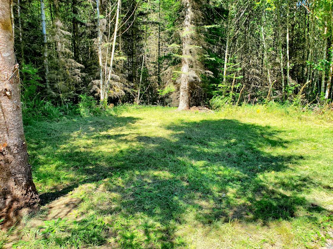 Wooded Getaway. Hipcamp in Cinebar, Washington