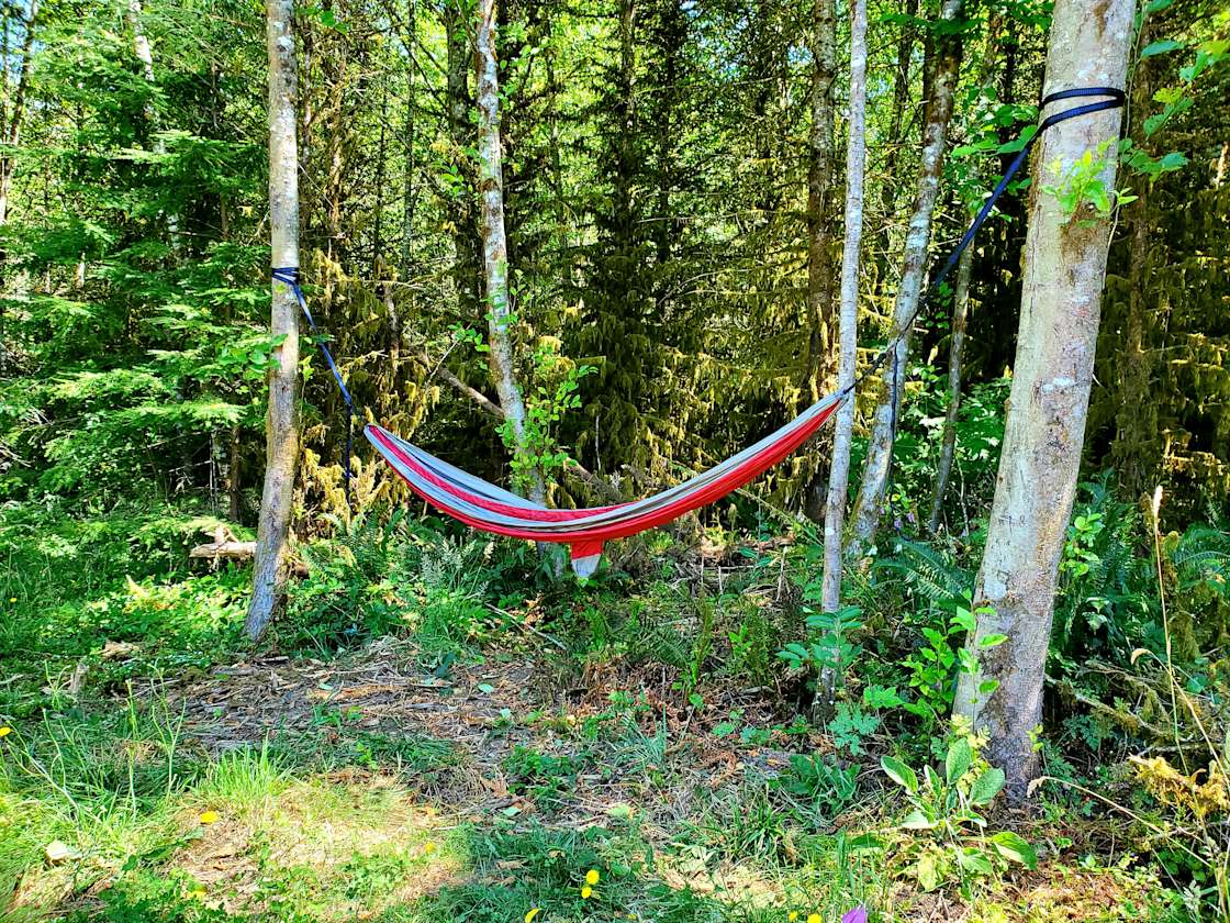 Wooded Getaway. Hipcamp in Cinebar, Washington
