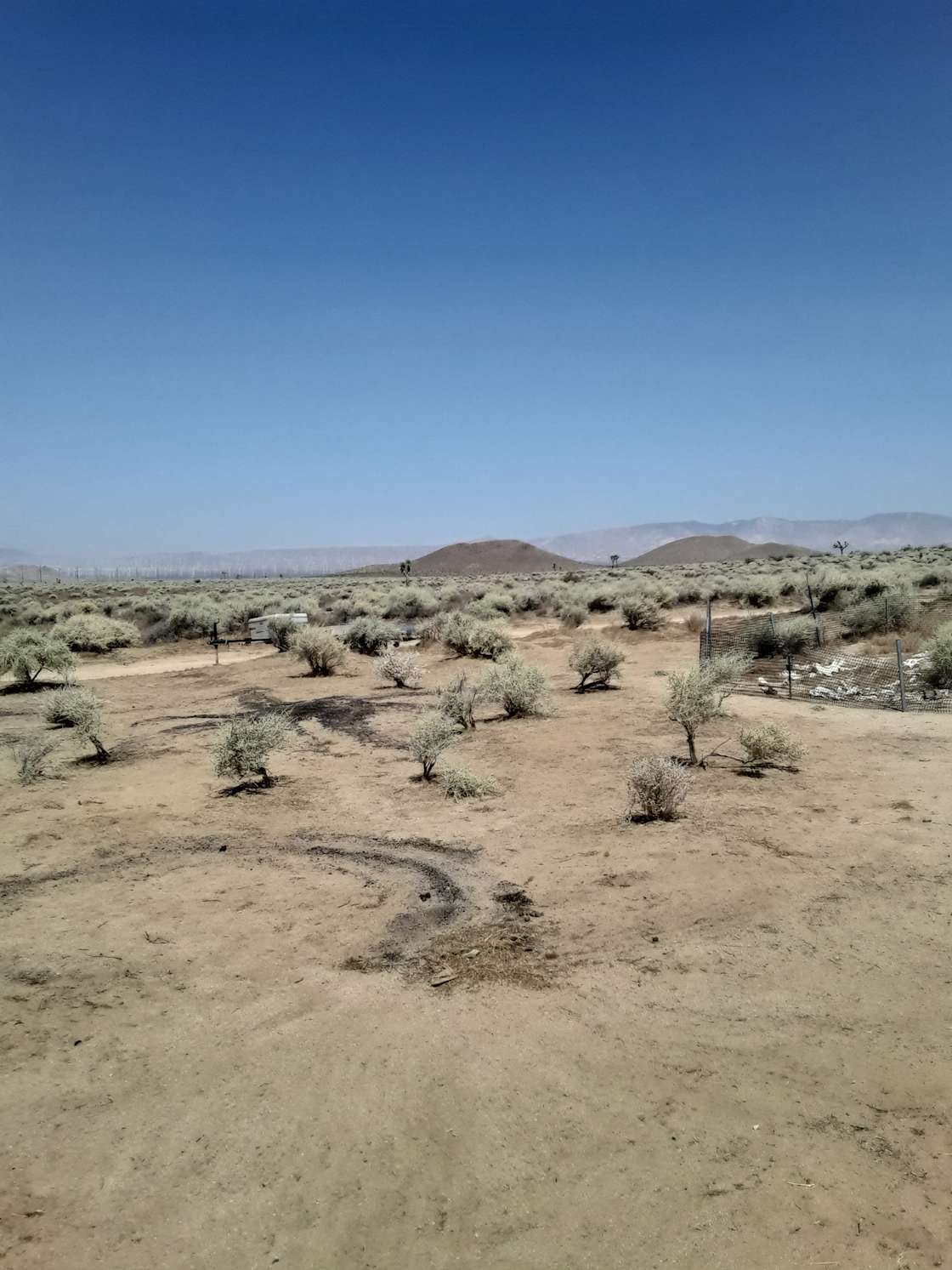Joshua tree sagebrush desert camp Hipcamp in Mojave, California