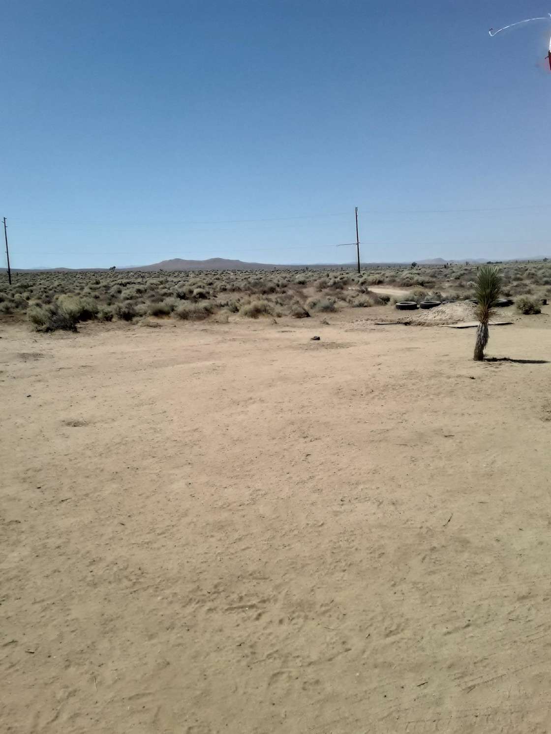Joshua tree sagebrush desert camp Hipcamp in Mojave, California