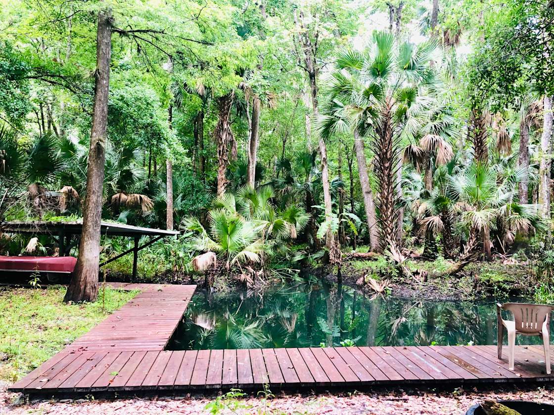 The Wekiva River Experience Hipcamp in Heathrow, Florida