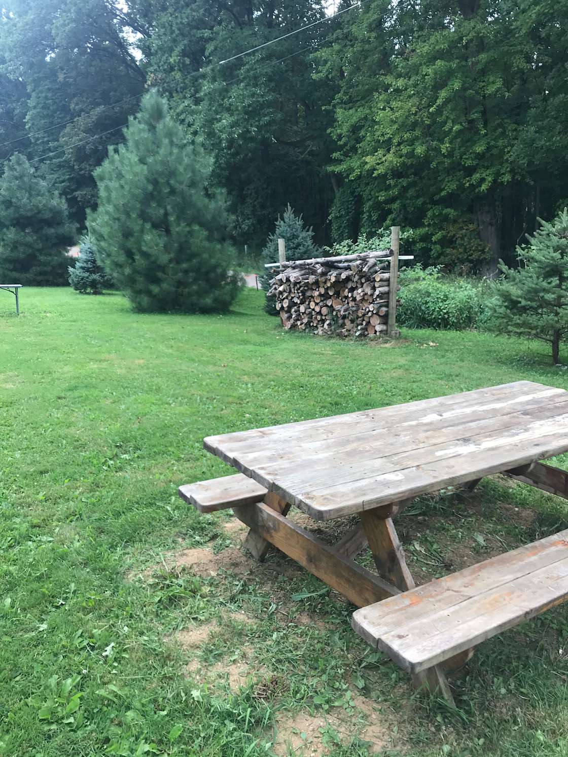 Marc S.’s Land Hipcamp in Bronson, Michigan