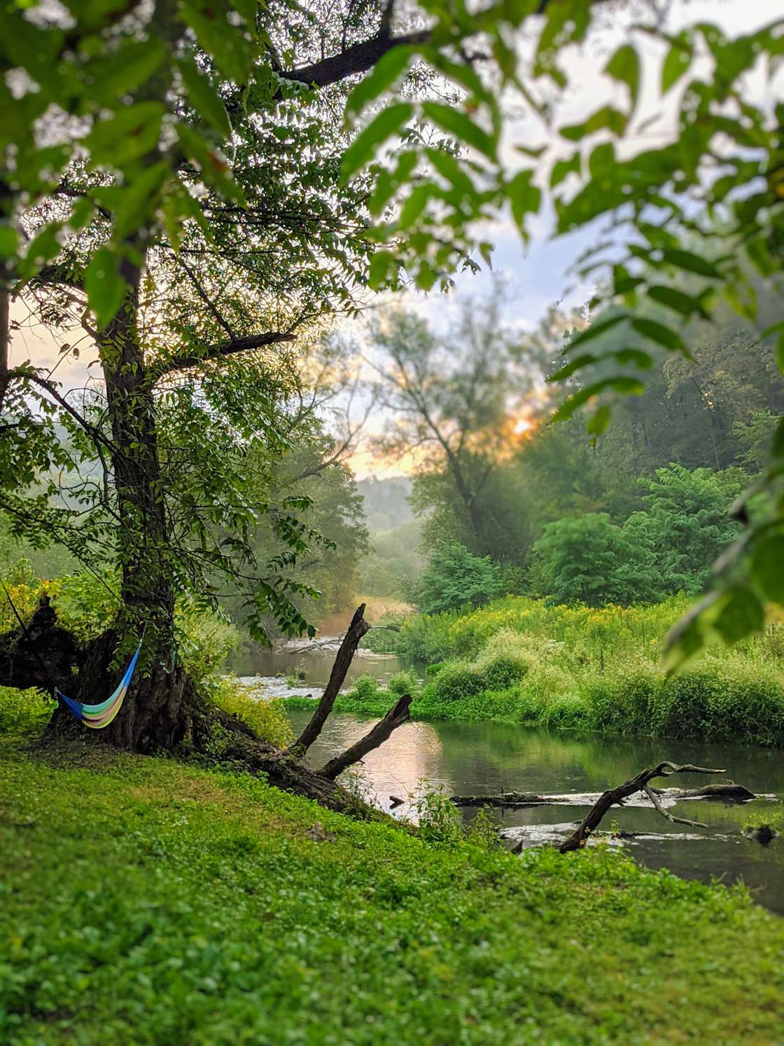 Brye Cabin and Bad Axe Camping Hipcamp in Viroqua, Wisconsin