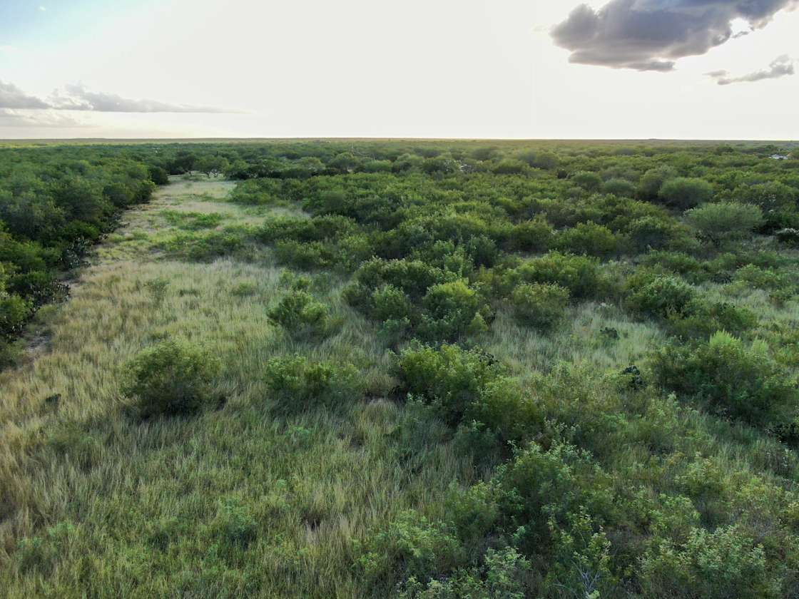 Wildcatter Heirs Hunting Camp Hipcamp in Realitos, Texas