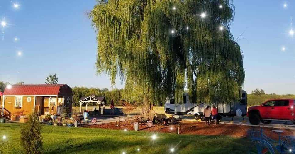 Miranda's Farm and Recreation Hipcamp in Molalla, Oregon