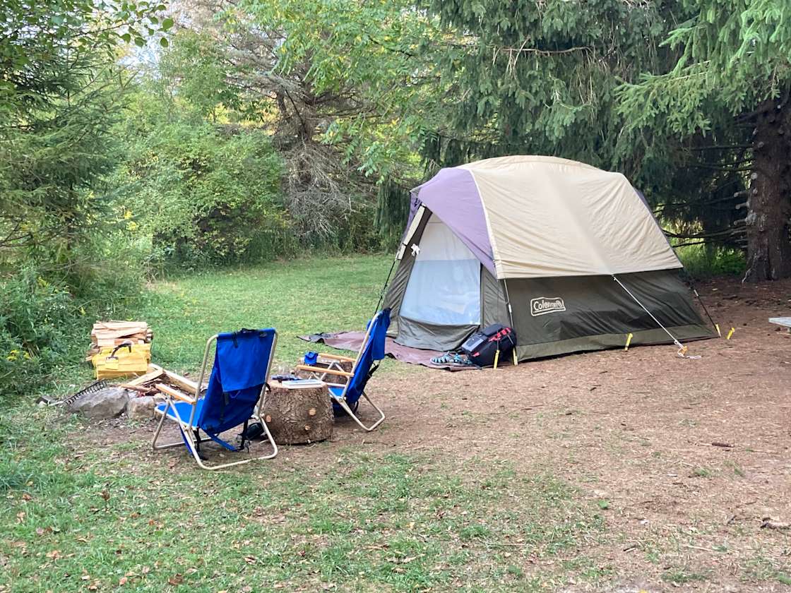 Underhill Forest and Farm Hipcamp in Dryden, New York