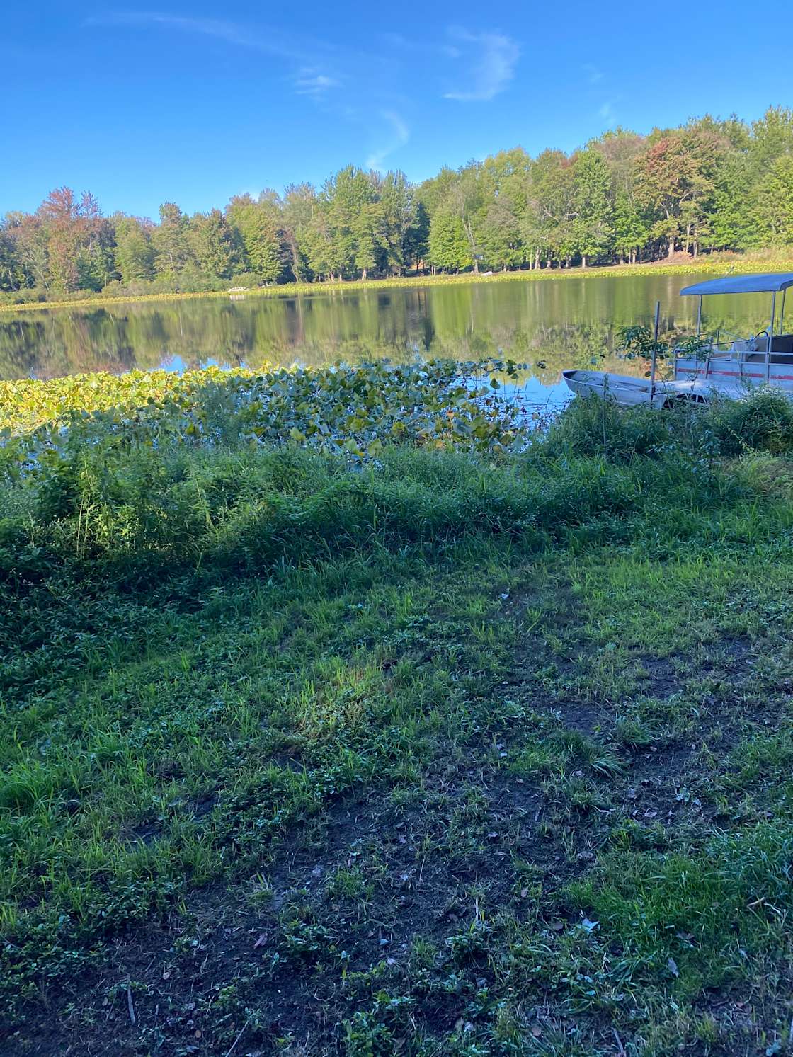 The Riding Stable and Resort Hipcamp in Lakeville, Indiana