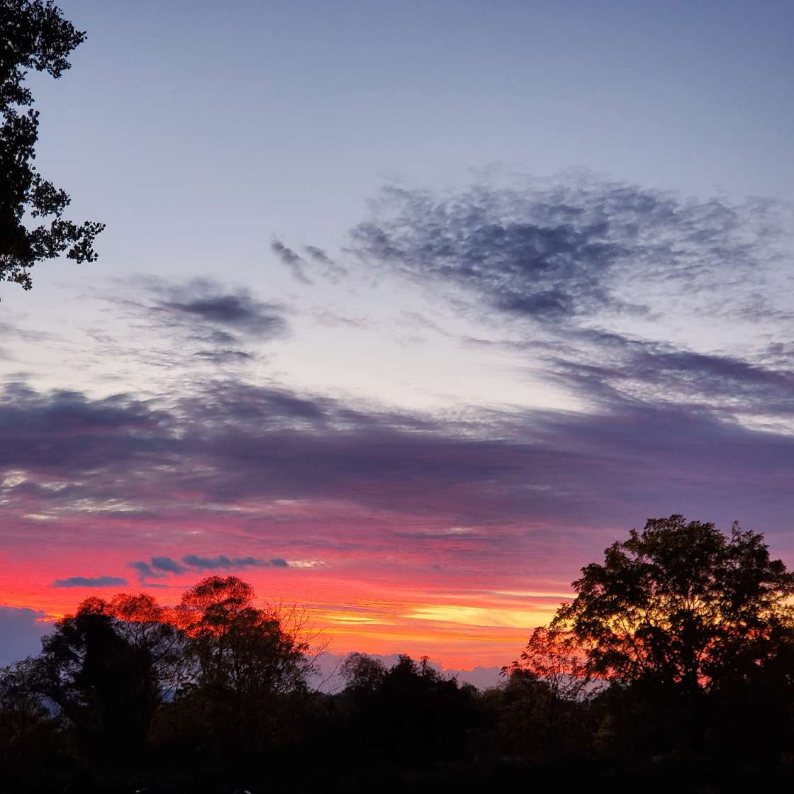 Heart of the FingerLakes Hipcamp in Interlaken, New York