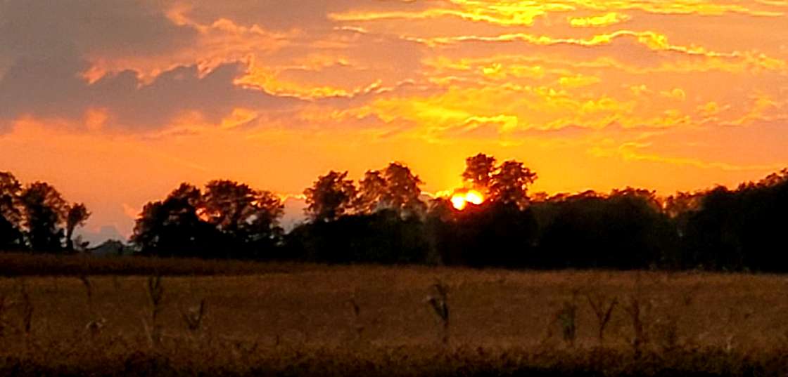 Heart of the FingerLakes Hipcamp in Interlaken, New York