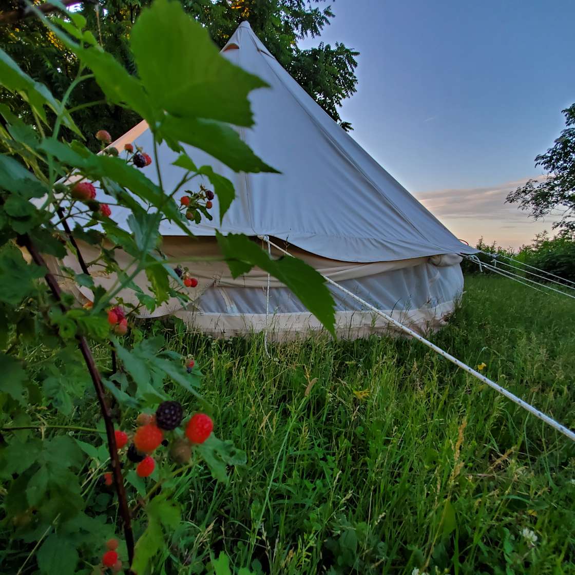 Heart of the FingerLakes Hipcamp in Interlaken, New York