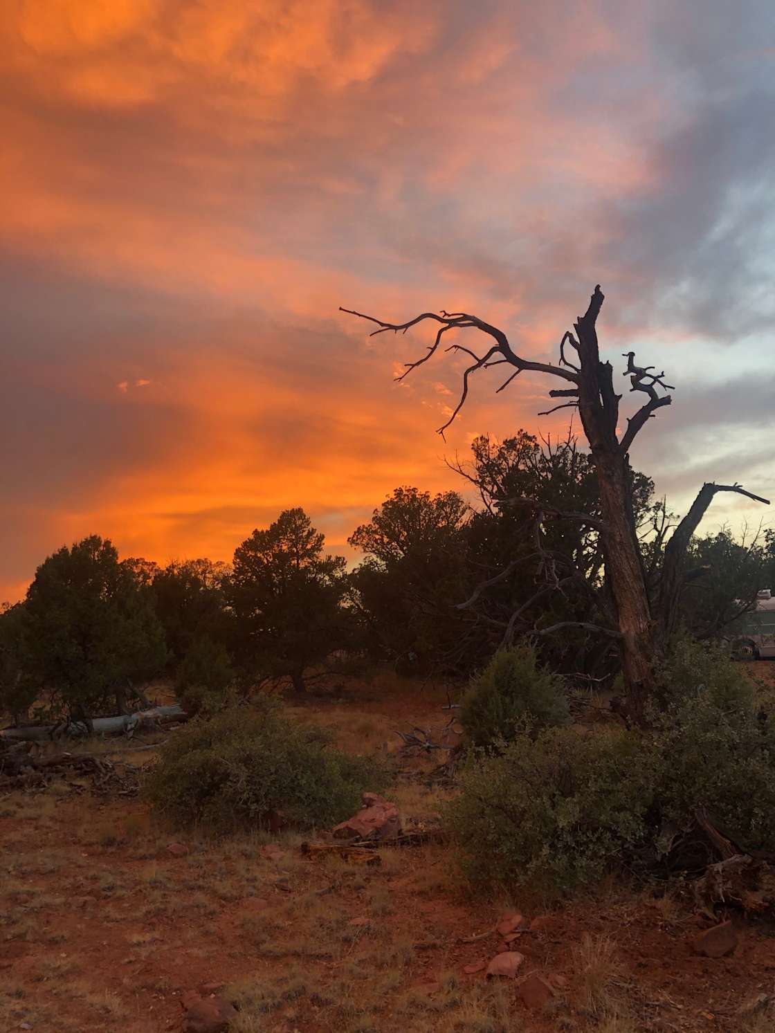 Haak'u Cuervo Canyon Camp Hipcamp in Ash Fork, Arizona