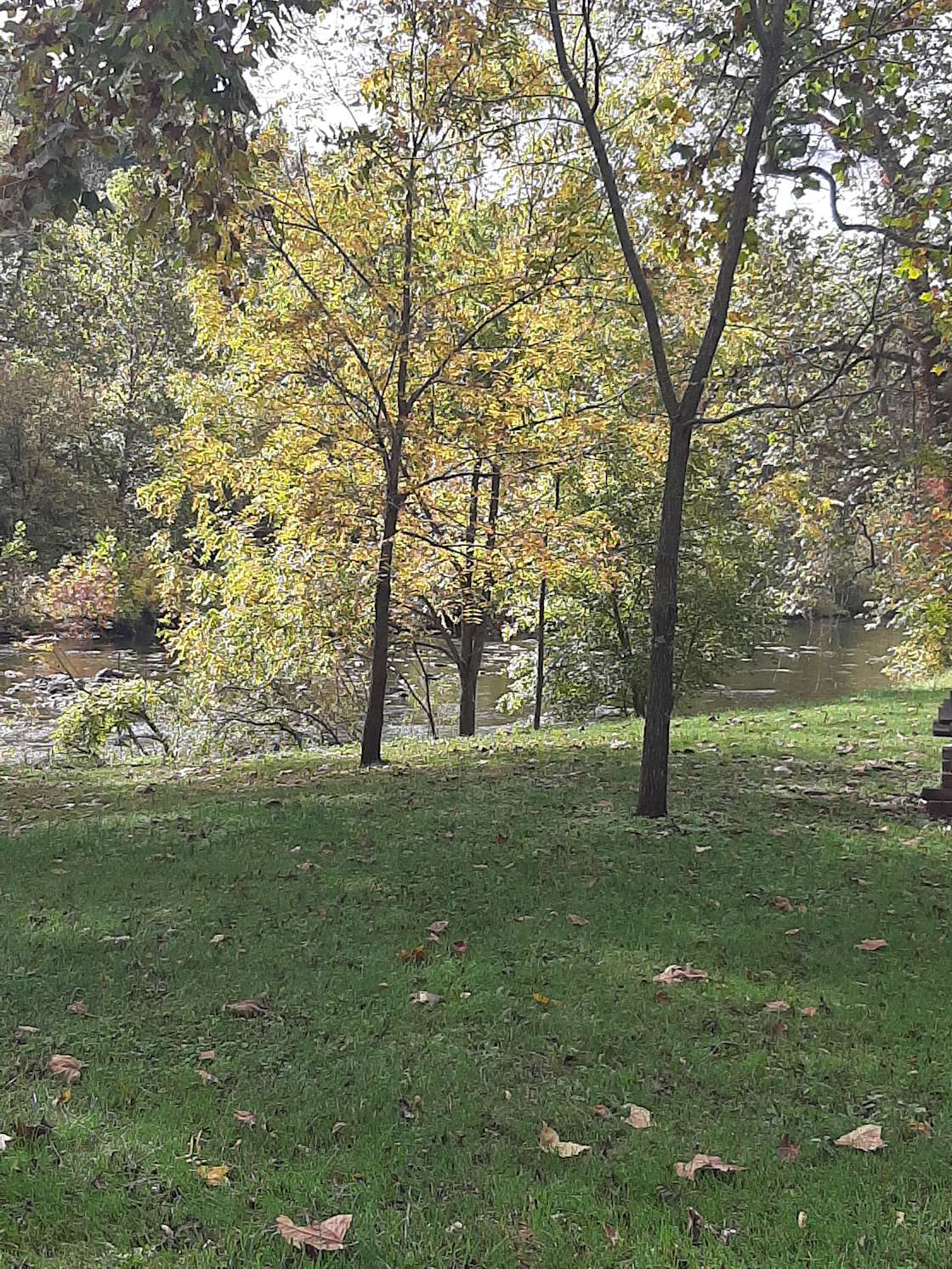 Stacey H.’s Land Hipcamp in Edinburg, Virginia