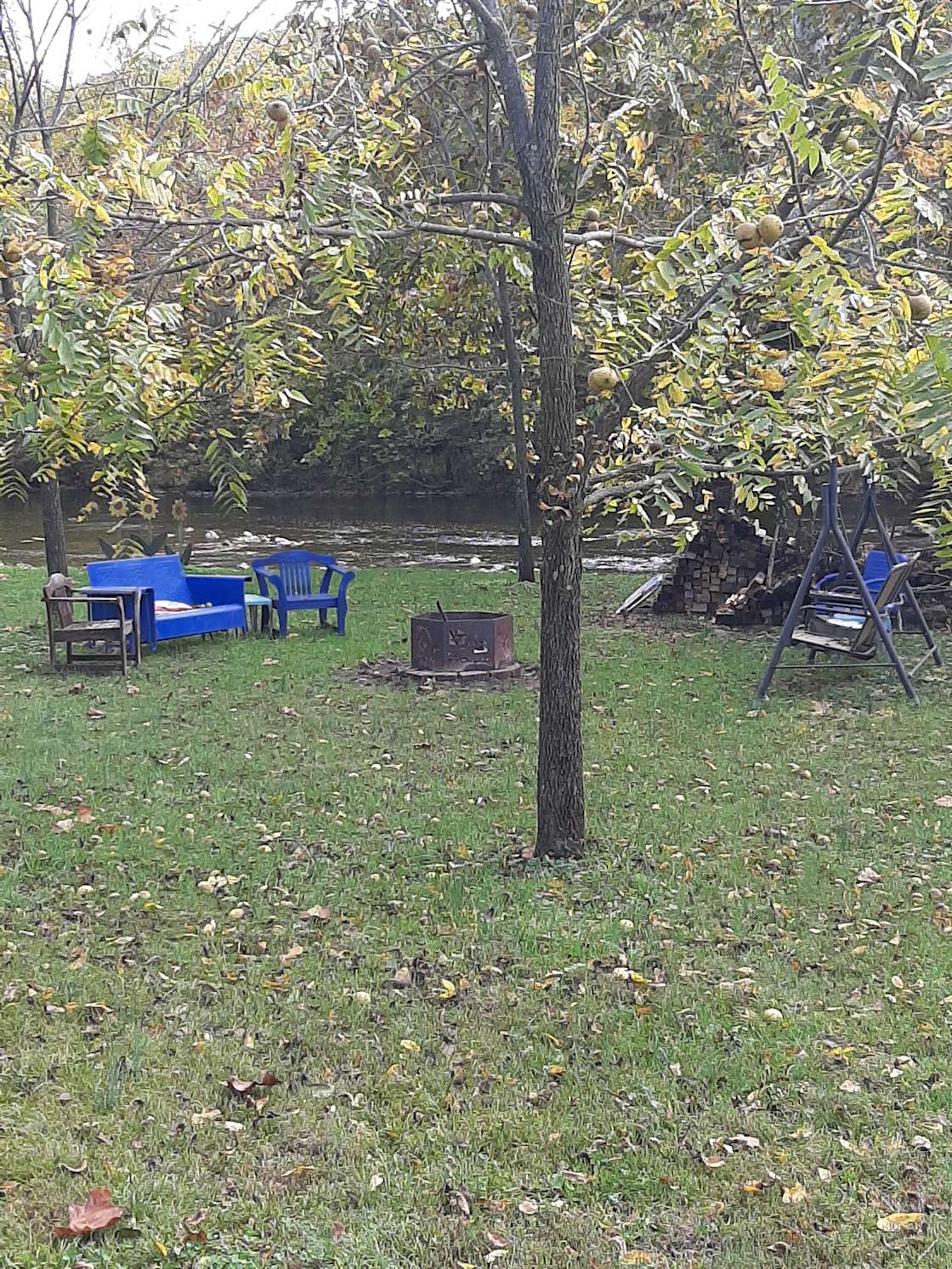 Stacey H.’s Land Hipcamp in Edinburg, Virginia