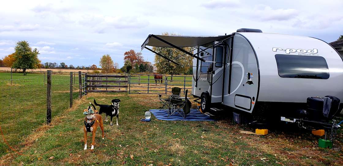 Shalamar Farm - Hipcamp In Lebanon, Indiana