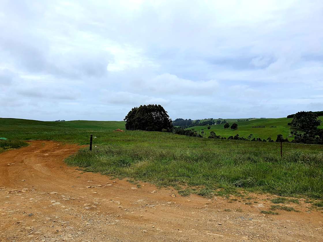 Yard Road Hipcamp in Yolla, Tasmania