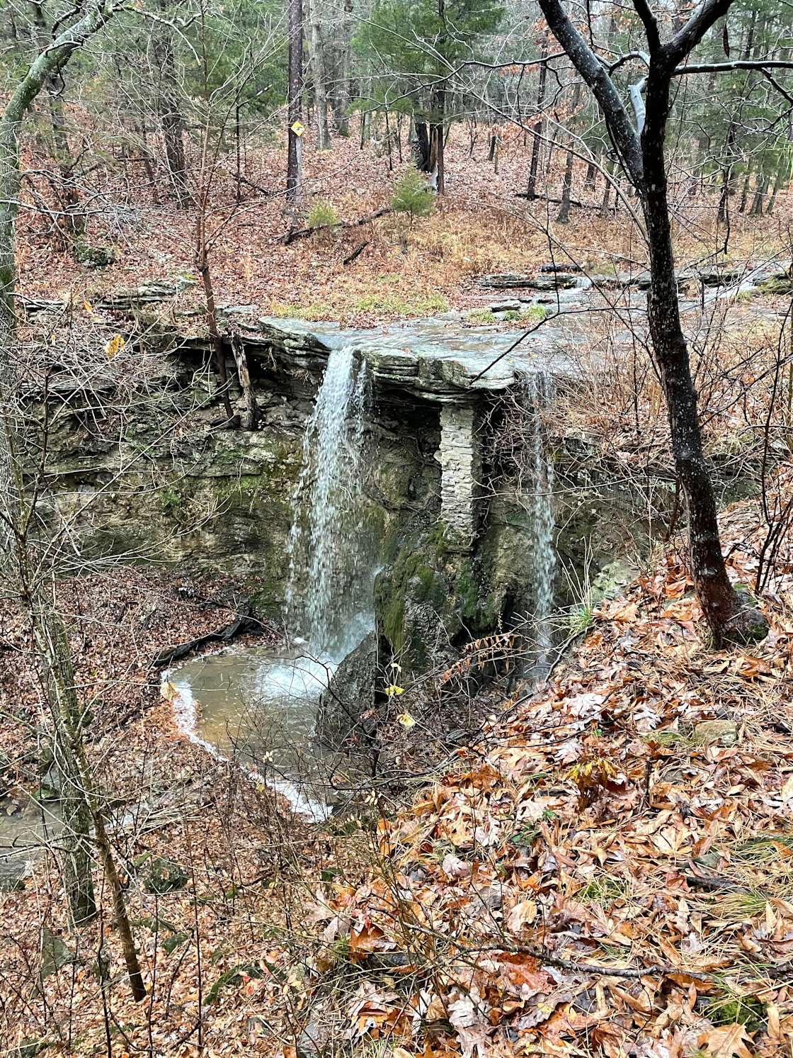 Wild Acres Bluff Hipcamp in Long Lane, Missouri