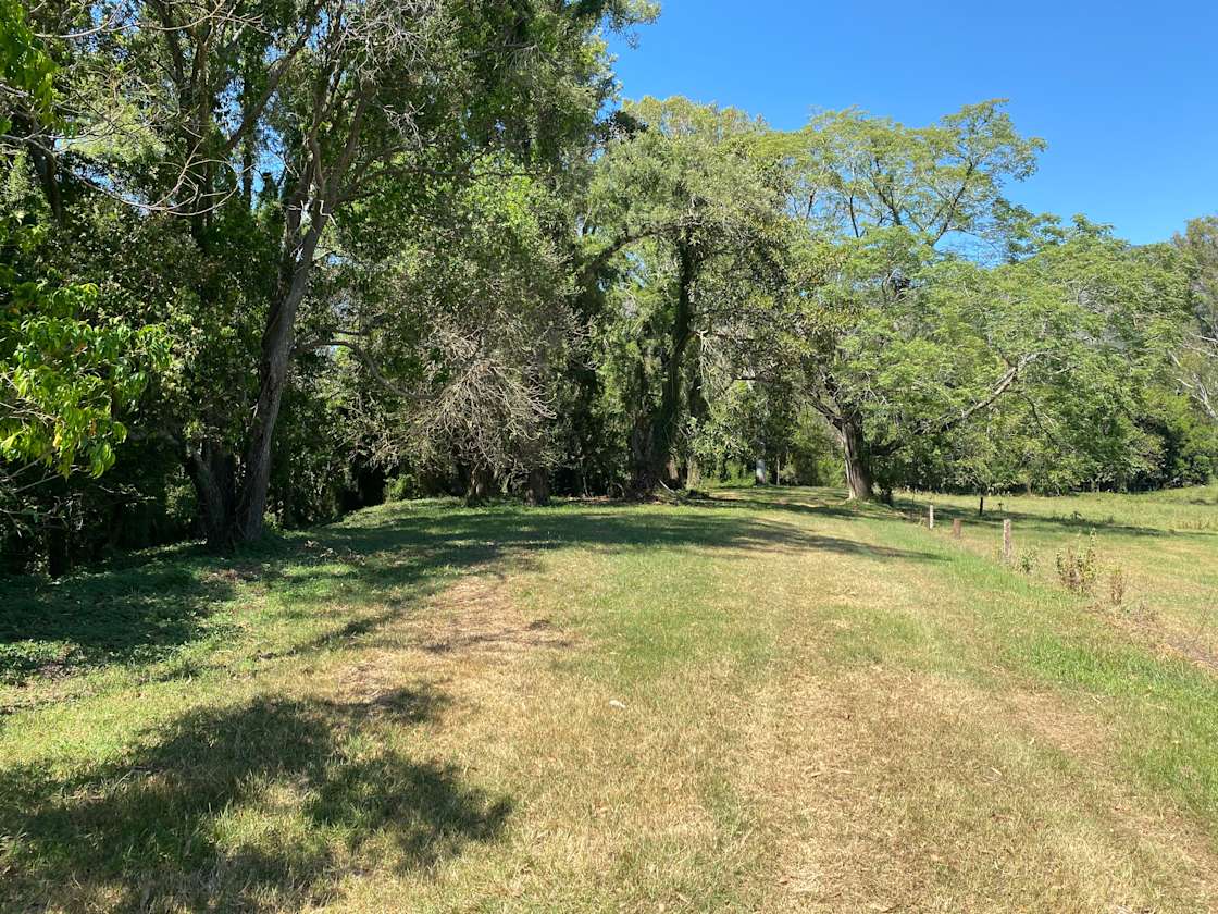 Kenilworth Free Range Farm Hipcamp in Moy Pocket, Queensland
