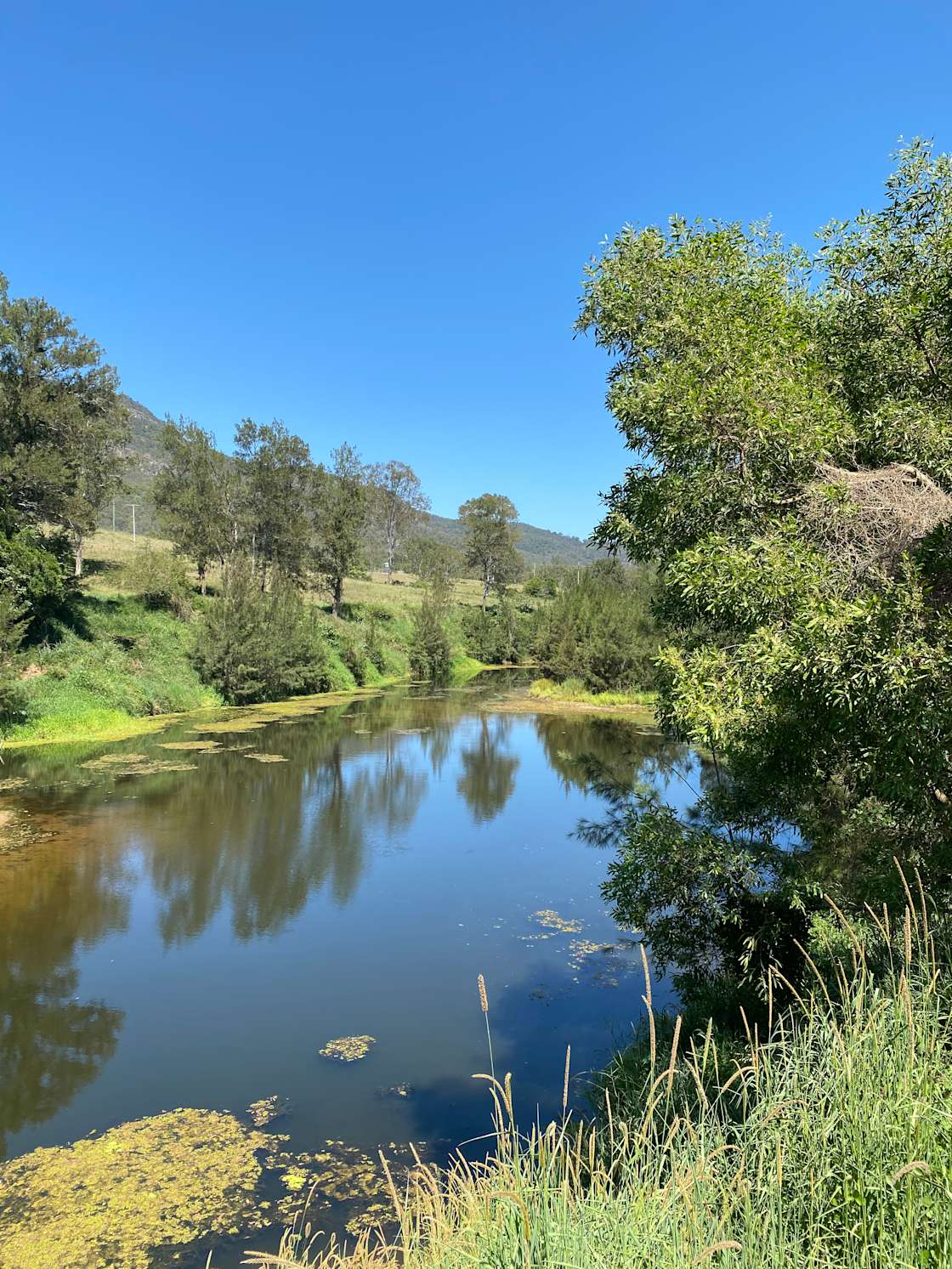 Kenilworth Free Range Farm - Hipcamp in Moy Pocket, Queensland