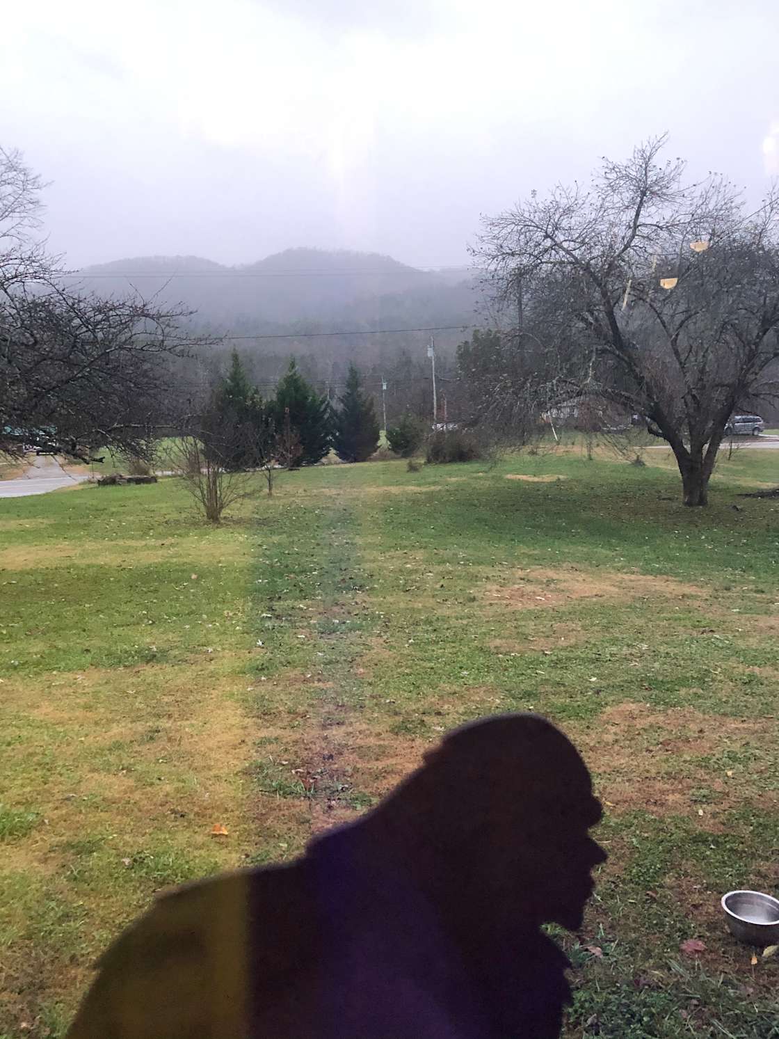 Clinch Mountain Creekside Hipcamp in Rutledge, Tennessee