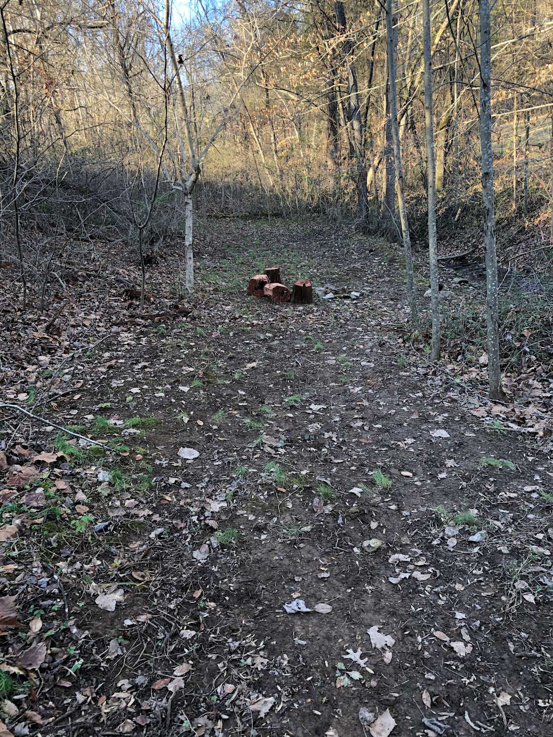 Clinch Mountain Creekside Hipcamp in Rutledge, Tennessee