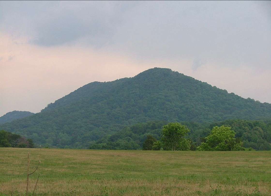 Clinch Mountain Creekside Hipcamp in Rutledge, Tennessee