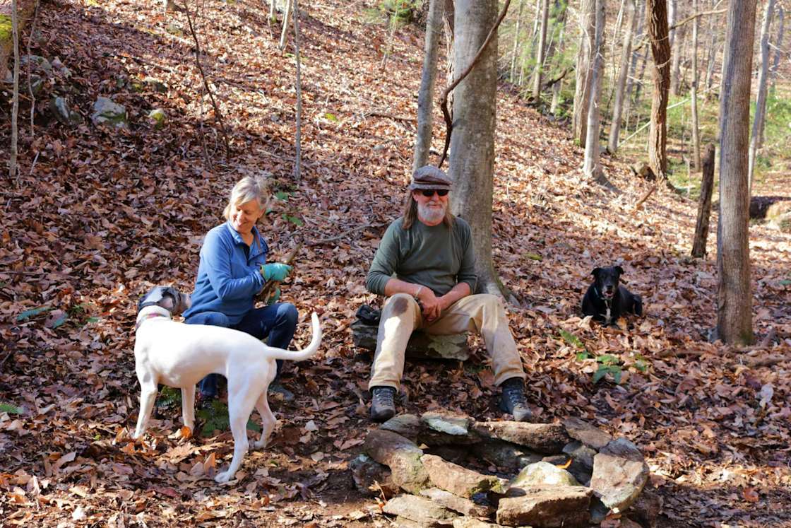 Wild Toad Lake Hipcamp in Claudville, Virginia