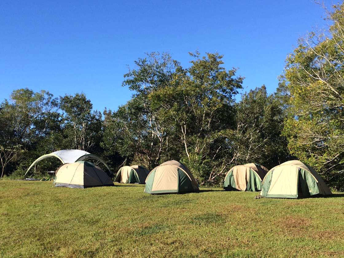 Mary River Camping QLD - Hipcamp in Kybong, Queensland