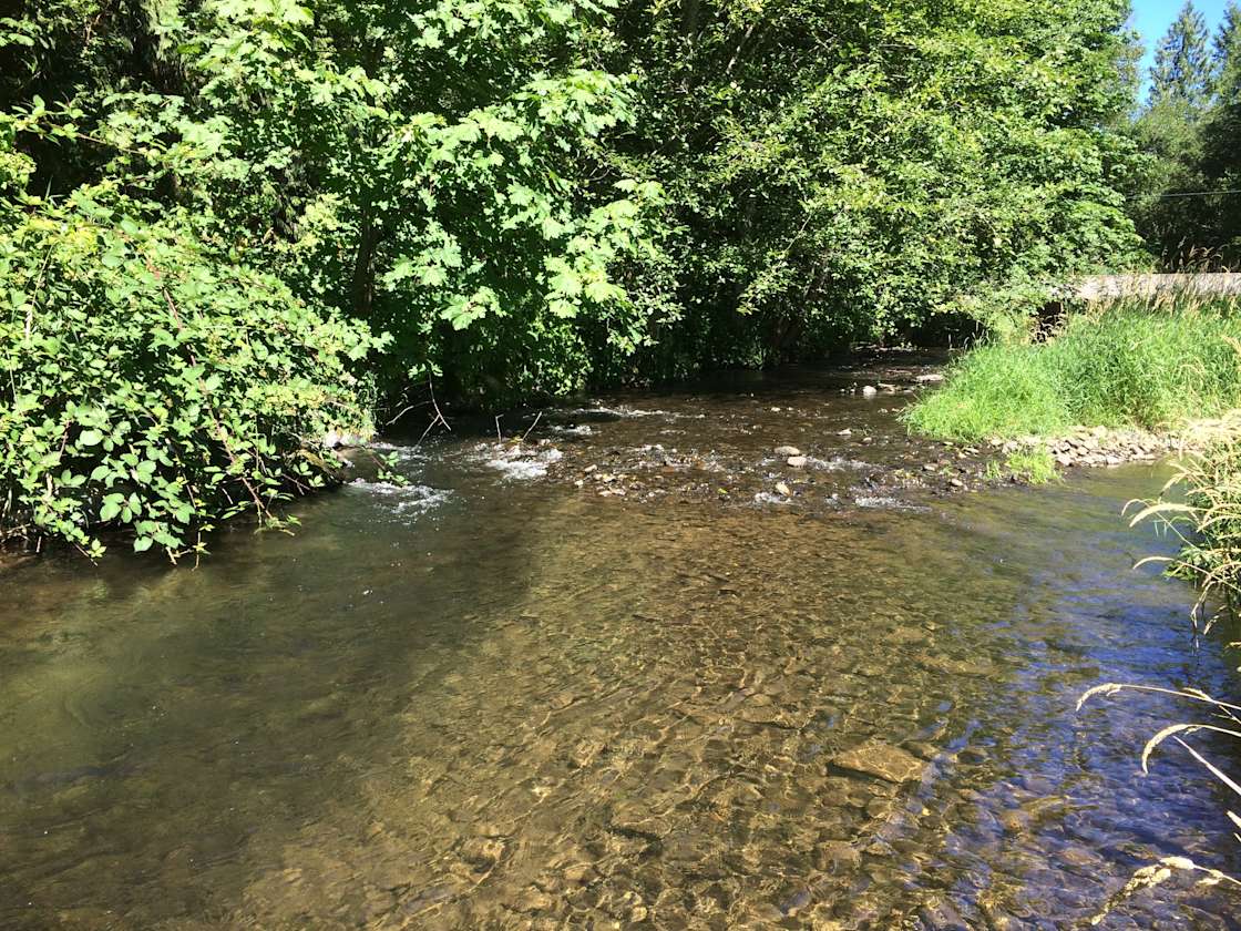 Meacham Meander Hipcamp in Banks, Oregon