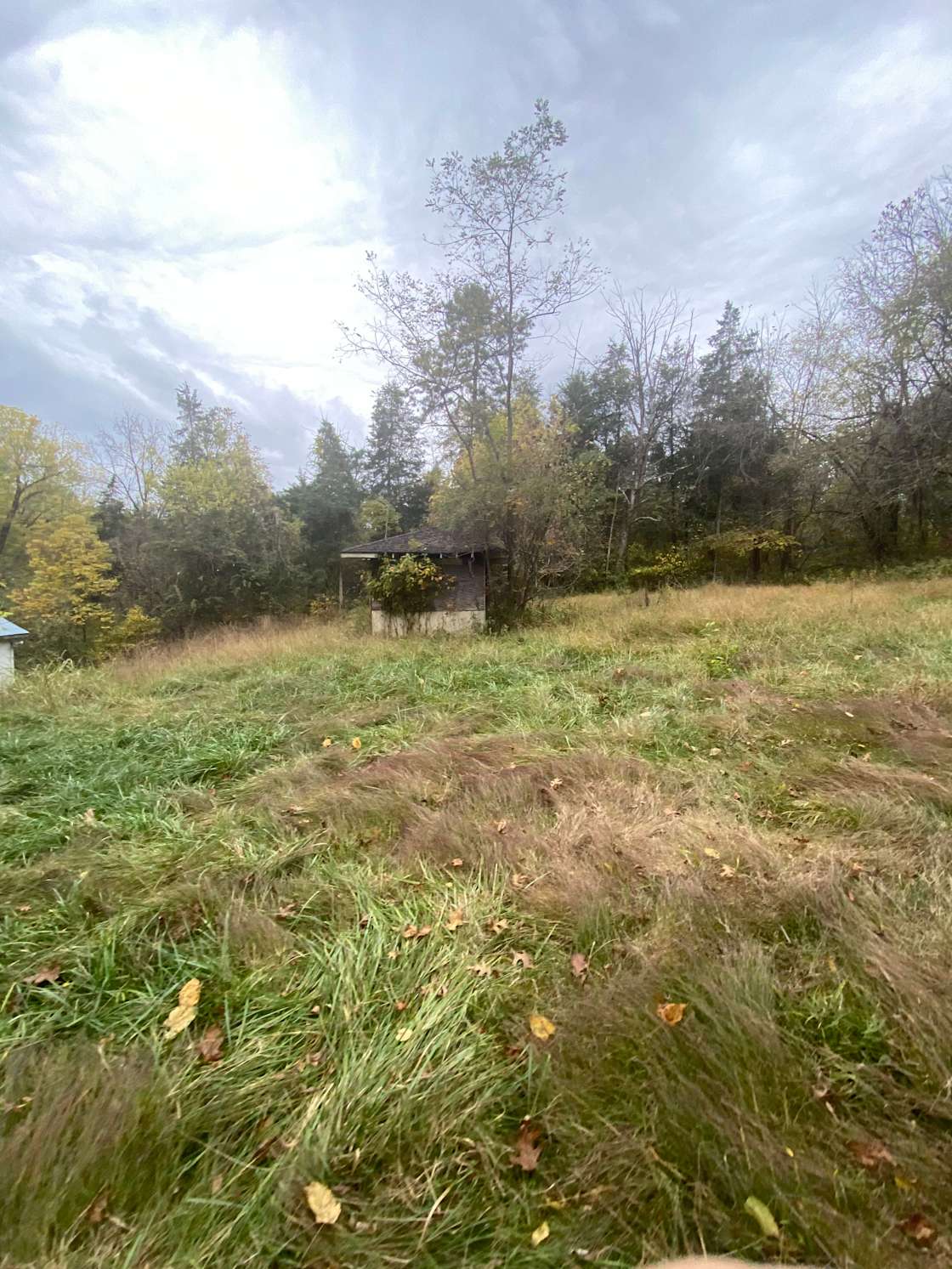 Bear H.’s Land Hipcamp in Front Royal, Virginia