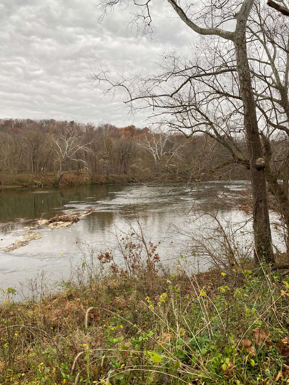 Bear H.’s Land Hipcamp in Front Royal, Virginia