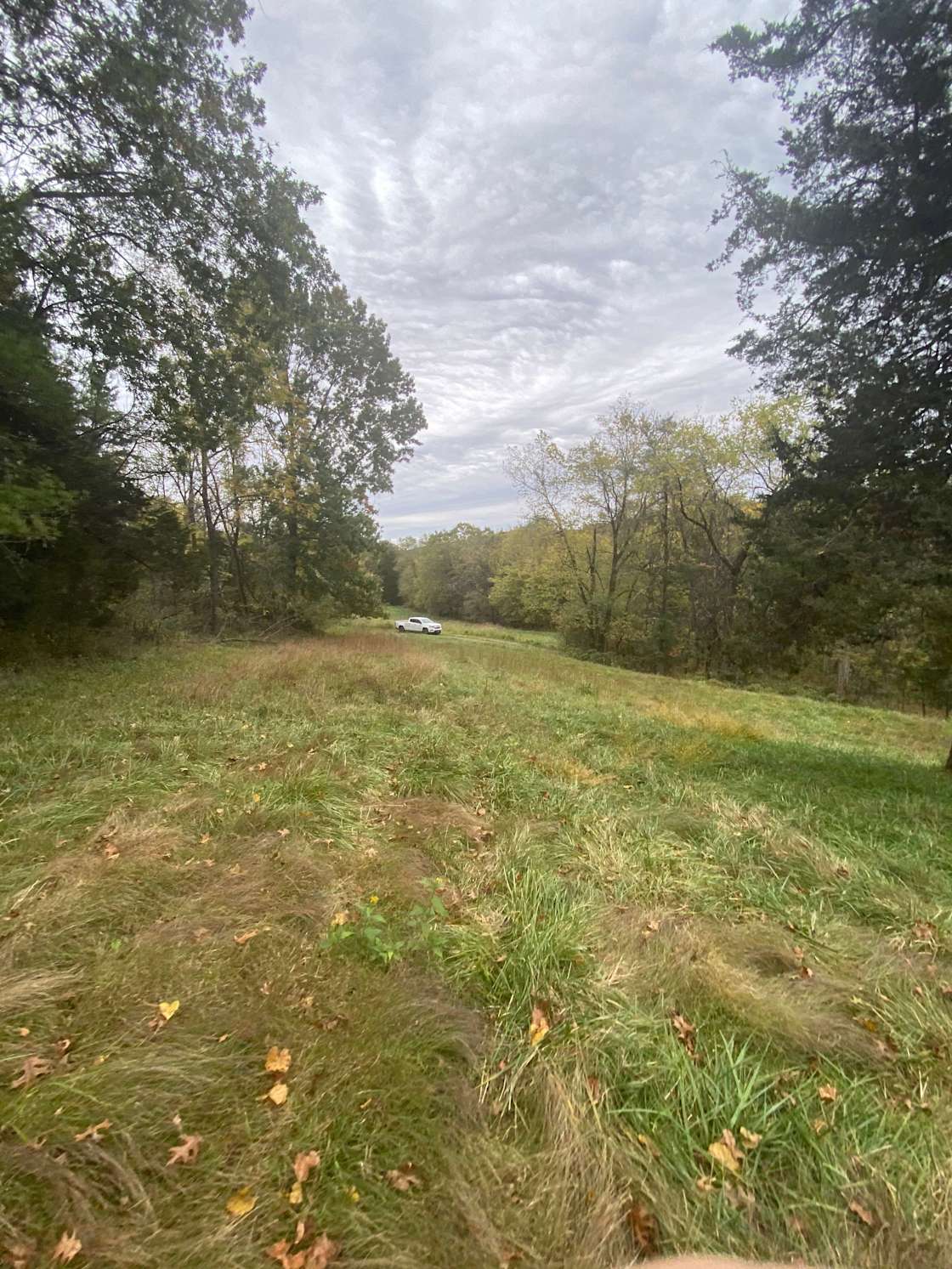 Bear H.’s Land Hipcamp in Front Royal, Virginia