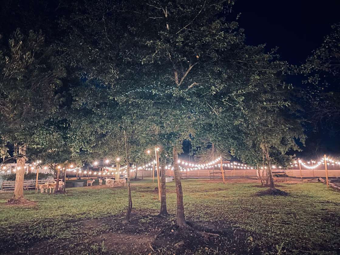 The Hamptons Rescue Farm - Hipcamp in Jacksonville, Florida