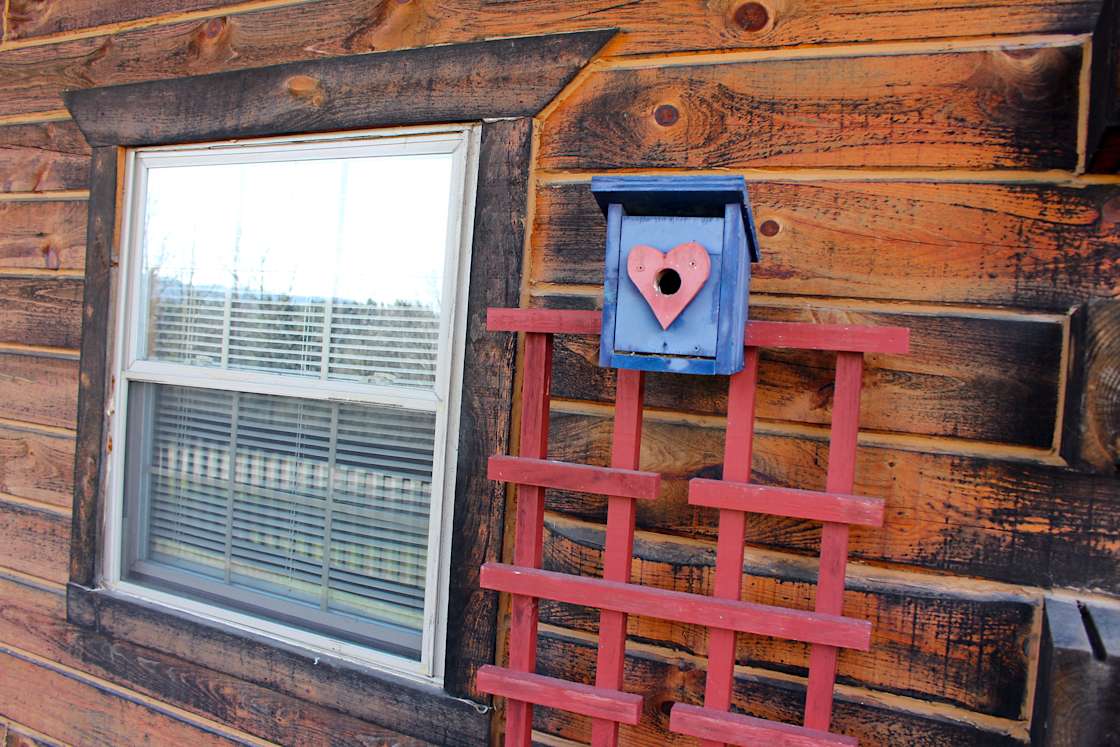 Lisney Grand Log CabinLa Farge Hipcamp in La Farge, Wisconsin