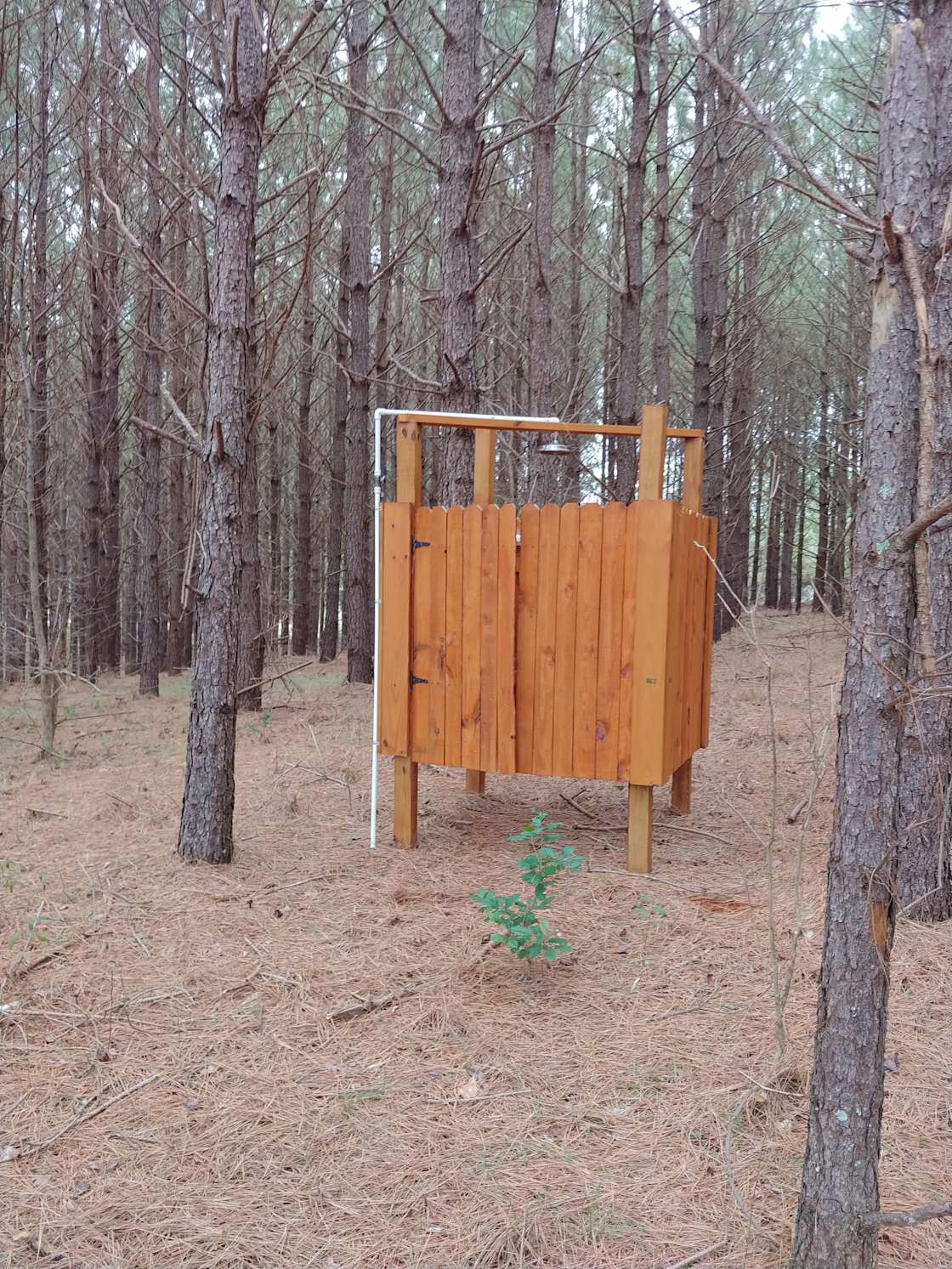 The New Forest Hipcamp in New London, North Carolina