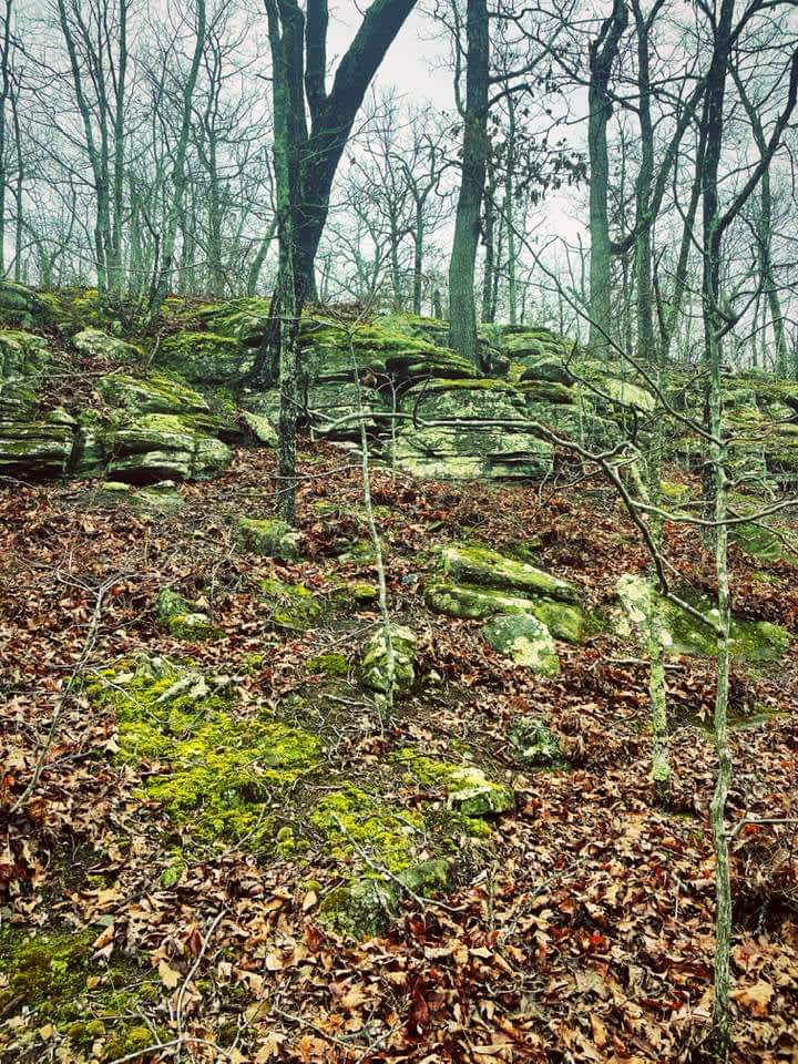 Wyvren Estates Hipcamp in Edgar Springs, Missouri