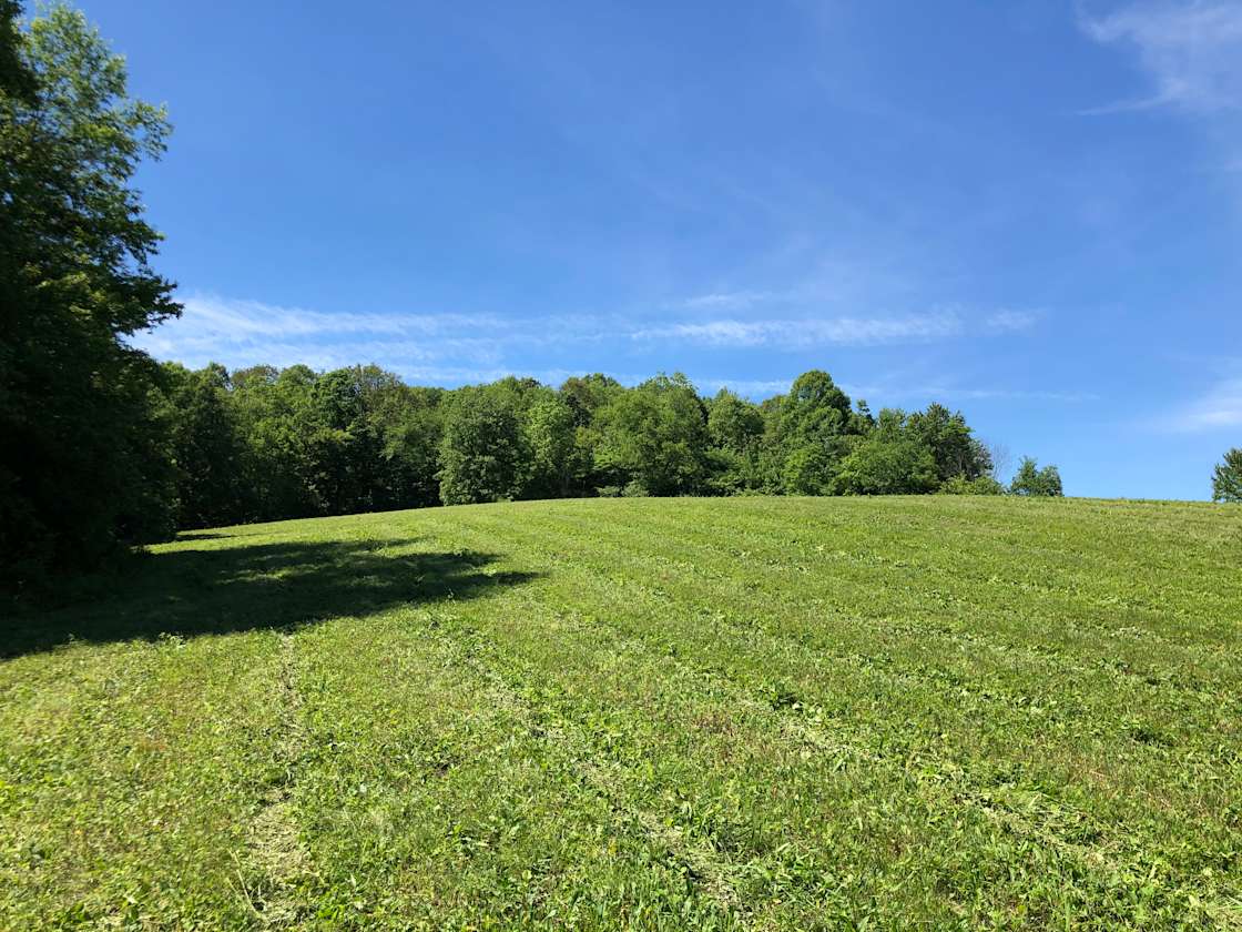 Lori S.’s Land Hipcamp in Thornville, Ohio