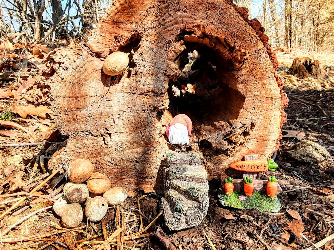 Fairy Tale Lane Hipcamp in Eidson, Tennessee