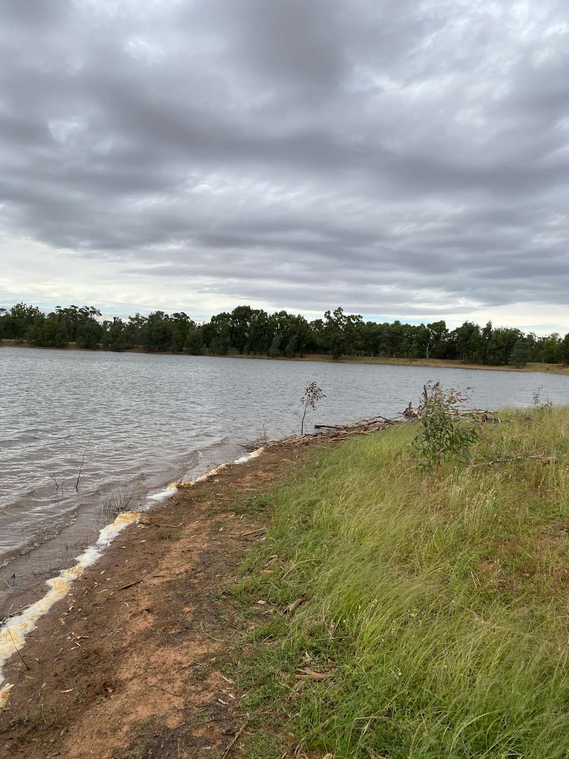 Mirrool Creek, Lake Abortree Hipcamp in Ariah Park, New South Wales