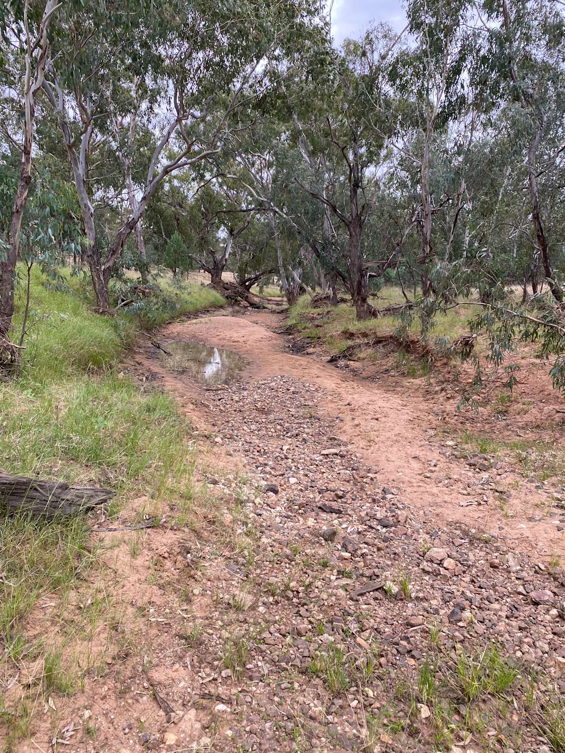 Mirrool Creek, Lake Abortree Hipcamp in Ariah Park, New South Wales