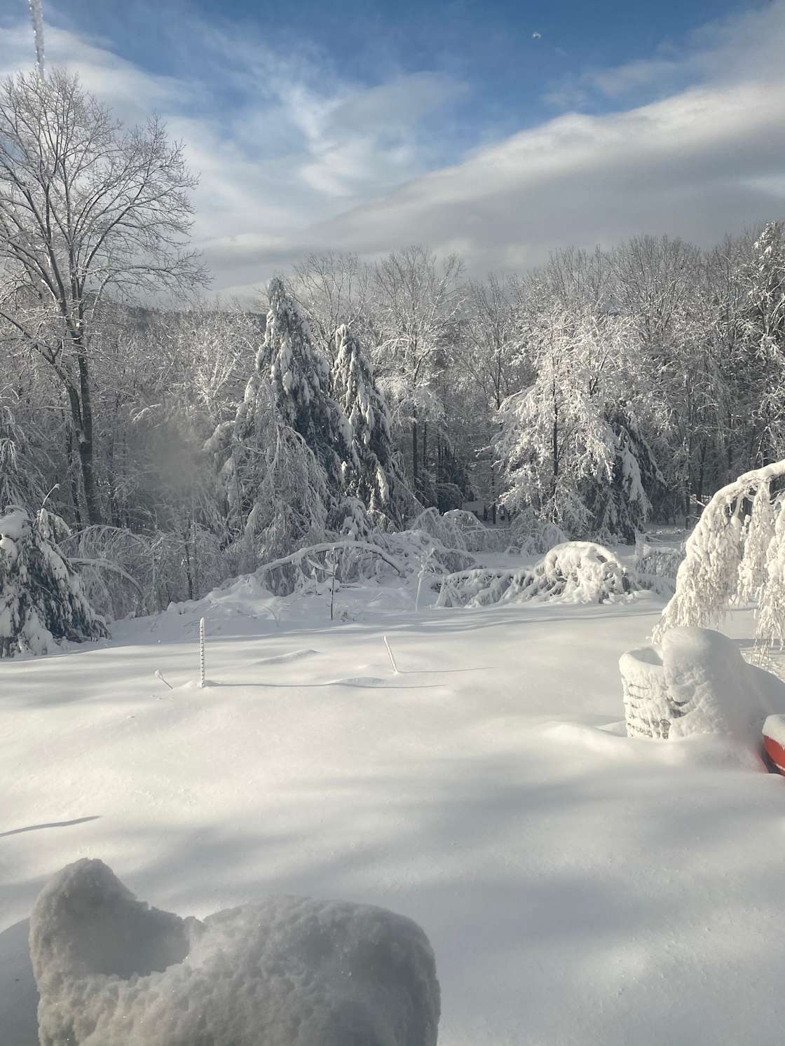 OakGrove Sheep & Goat farm Hipcamp in Ossipee, New Hampshire