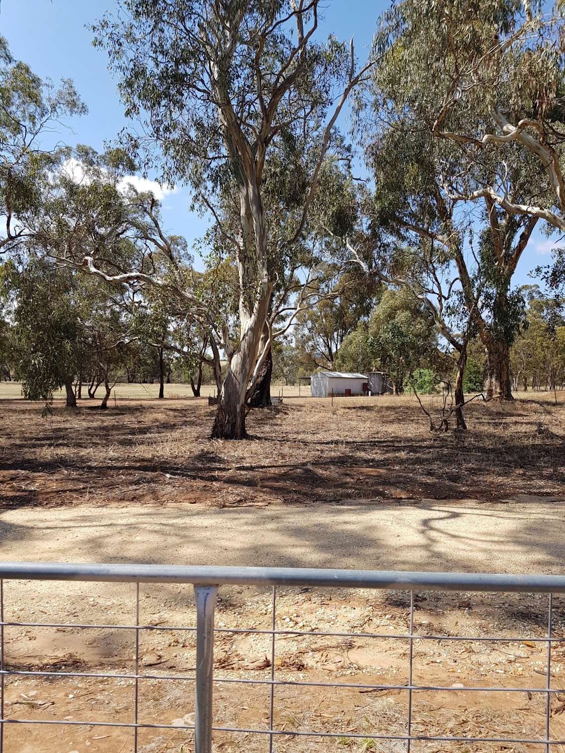 Loddon Camp - Hipcamp in Baringhup, Victoria