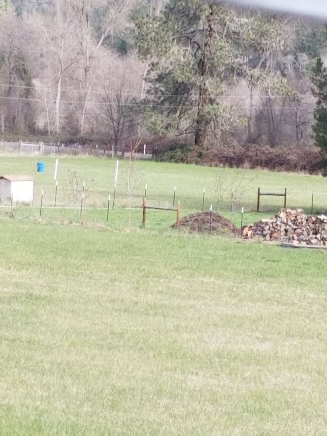 Barbel D.’s Land Hipcamp in Grants Pass, Oregon