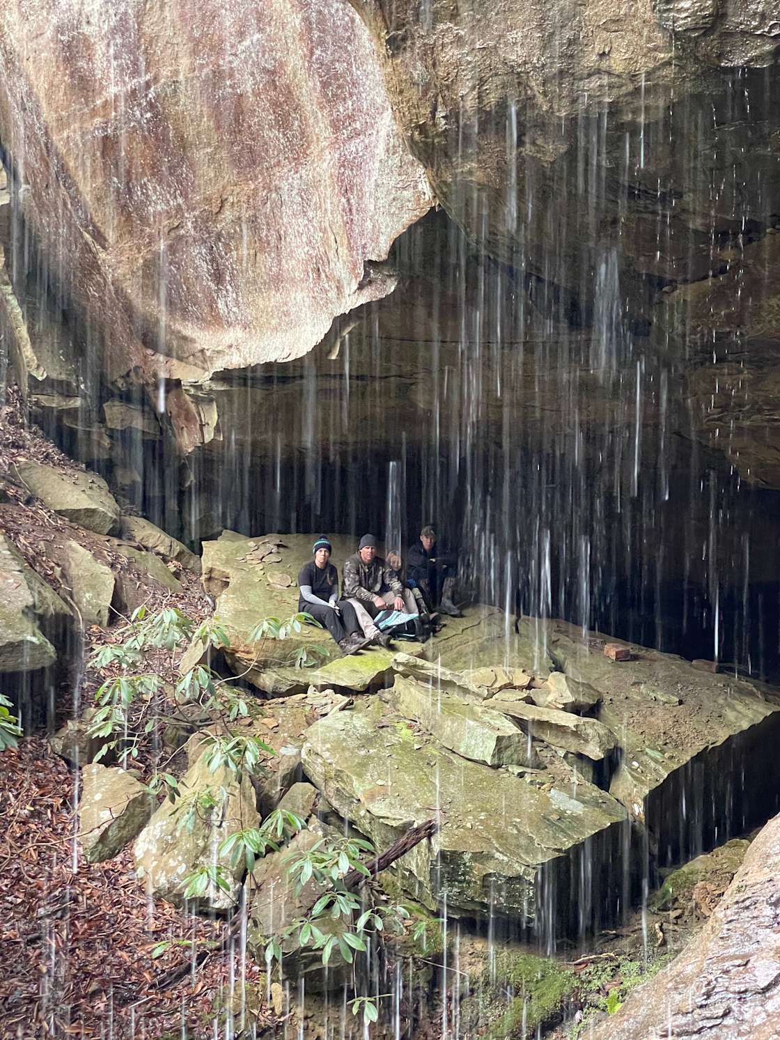 Hardwood forest Hipcamp in Morehead, Kentucky