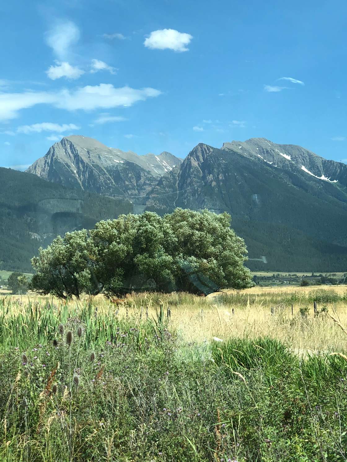 Mission Mountain View Hipcamp in Saint Ignatius, Montana